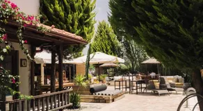 Okapi Suites - Image 3