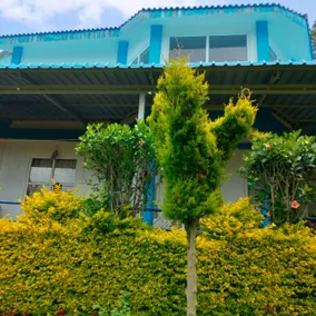 Nest Valley Kotagiri - Image 4