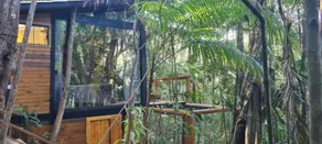 Tree House - Image 5
