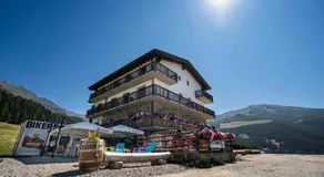 CHALET DES ALPES - Image 2