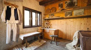Guesthouse Pod rastockim krovom - Image 5