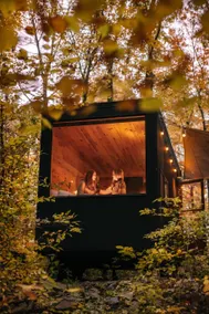 Postcard Cabins Piney Woods - Image 5