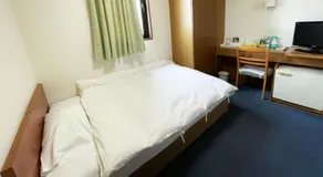 Business Hotel Rupinasu - Image 2