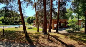 OLYDEA VOREY SUR ARZON VV*** - Image 5