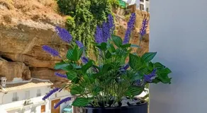 Casa Bajo la Roca - Image 3