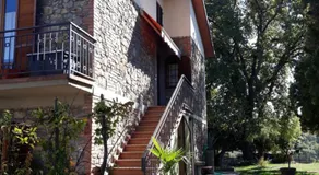 La Vecchia Quercia - Image 3