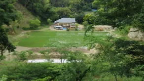 Sasayakana Yado Futtsu - Image 5