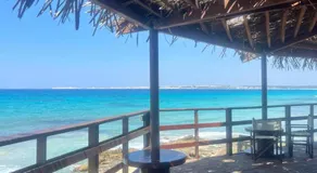 CASA ELAIO - Vista mare - Immersa negli ulivi - Experiences - Image 3