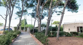 GuestHost - Villa Isidoro Pizzolungo Vibes - Image 4