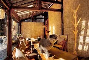 Full Moon Inn Lijiang - Lijiang Shuhe Manyue Inn - Image 2