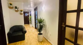 Falcon properties - Image 5