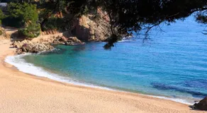 Blanes - Image 5