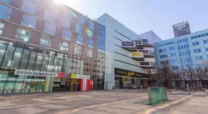 Business Studio Andel, 10 min to Centre, NETFLIX, Paid Parking - Image 2