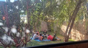 Hostal Arboretum cafeteria & jardin - Image 5