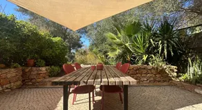 Casa Frango - Image 4