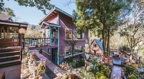 南庄橄欖樹咖啡民宿 Olive Tree Village Guesthouse - Image 3