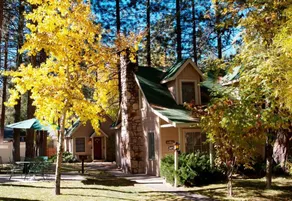 Sleepy Forest Cottages - Image 5