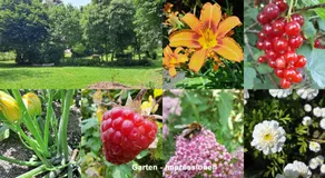 Das Gartenhaus - Lottstetten - Image 5
