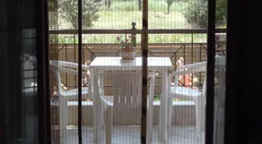 Palatino Studios - Image 5