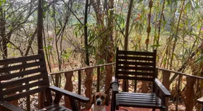 The Peace Hostel - Image 4