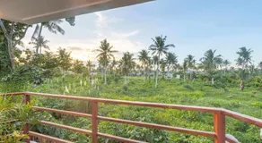 Siargao Lisuga Hotel - Image 3
