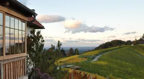 Weingut Kögl - Image 5