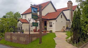 Greyhound Hever - Image 2
