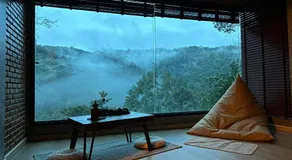 Hi Land Forest View - Image 5
