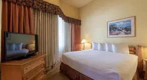 Cozy Pet-Friendly King Studio in Mt, Crested Butte condo - Image 5