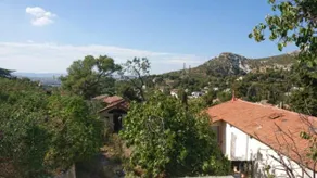 Petit studio parmi les pins et les cypres - Image 4