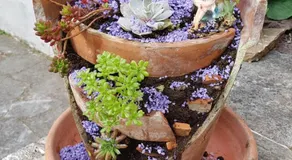 Guest house Il Nido - Image 5