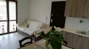 B&B Nino - Image 2