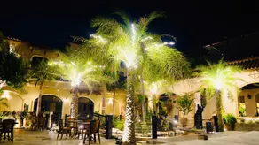 Thái Bình Cam Ranh 2 Hotel - Image 3
