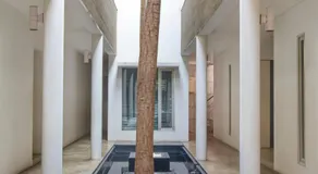FLAT06 cipete - Image 3