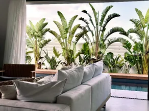 Lora Pearl Luxury Villa - Image 5