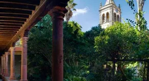 Live La Laguna Heraclio - Image 4