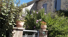 gîtes des abeilles - Image 5