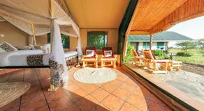 Zebra kemangore Bush Tented Lodge - Image 2