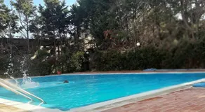 MaMa house - Image 3