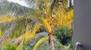 Vale Kau - Image 5