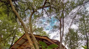 New Green Sentul Resort - Image 4