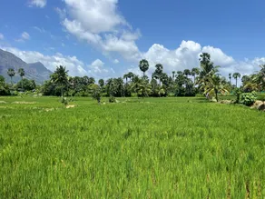 Tharissu potta farm stay - Image 5
