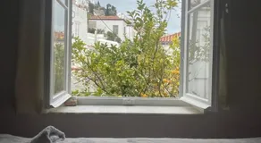 Lemon House - Image 3