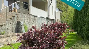 Casa dintre Brazi Hunedoara - Image 5