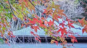 青海波 -Seigaiha- kamakura zaimokuza Stay - Image 3