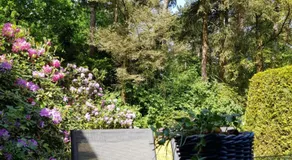Bungalow Hartje Veluwe - Image 4