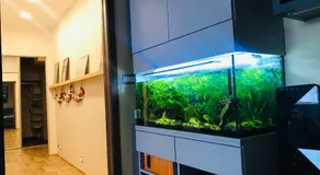 Nový apartmán v Ostravě u Mišky s akváriem a výhledem z balkonu na Beskydy - Image 4