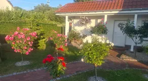 Zum Rosengarten - Image 5