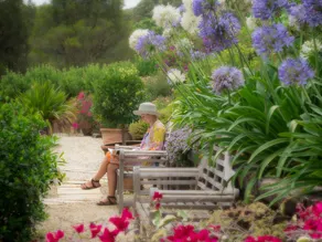 Abelia House - Image 4