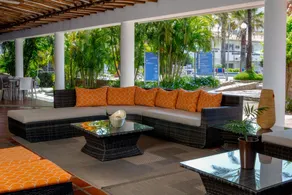 LD Palm Beach - Image 4